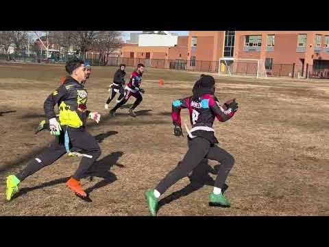 Fallen angels final regular season game highlights 