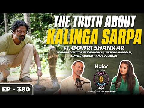 King Cobra Facts & Myths EXPOSED | How to Stay Safe, Why Snakes Enter Homes & Real Rescue Stories