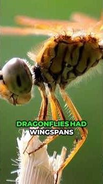 What if Insects Ruled the Earth? 🐜🌍😱#insectworld #curiosity #whatif #shorts