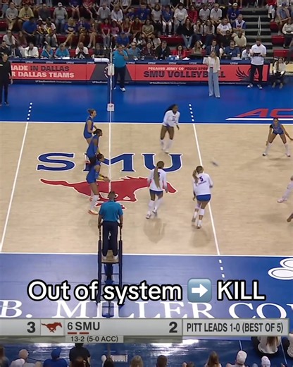 Insane hops 😮 #volleyball #rally | Volleyball Plays