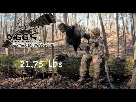 Spring Turkey Season 2025 #2 (Spitting & Drumming/Early Season Long Beard)