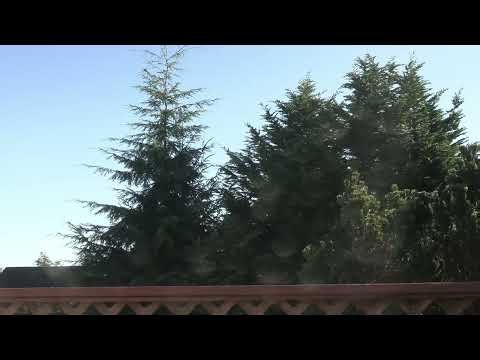 Eerie emergency siren test: Shakeout 2026