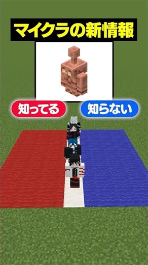【知ってる？知らない？😜】マイクラのアップデート新要素！ #メメントリ #マイクラ #マインクラフト