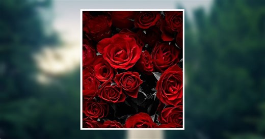 Frances Collier Watts Obituary April 22, 2026 - West Central Texas Cremation and Funeral Home