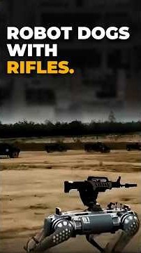 China's robot dogs now carry rifles