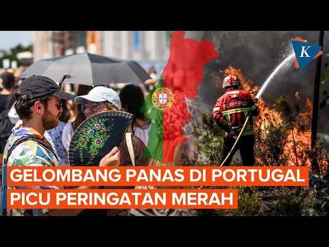 Portugal "Besieged" by Red Alerts Due to Extreme Heat and Spreading Wildfires