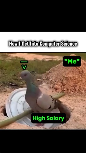 Me trying to get that CS degree salary #coding #developer #python #shorts