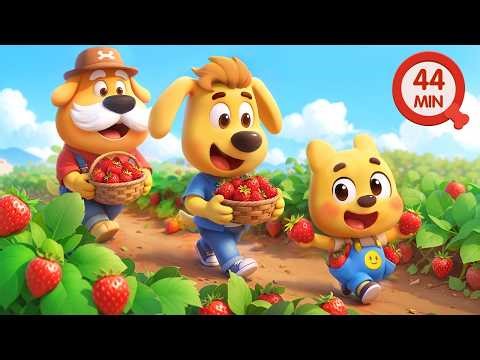 Big Harvest Day | Fun Story for Preschoolers | Kids Cartoon | Sheriff Labrador