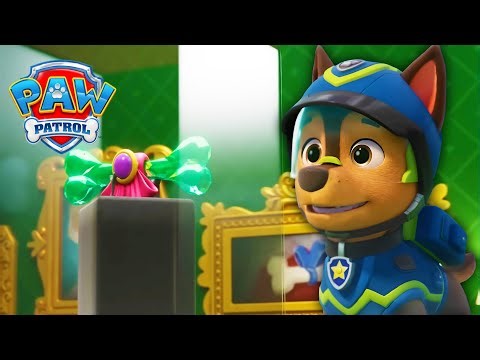 The Mystery of the Missing Bone! 🦴 - PAW Patrol - Cartoons for Kids