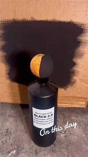 #onthisday #diy #decorating #painting #vantablack