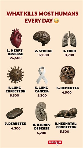 What Kills the Most Humans Every Day? | improve health | facts