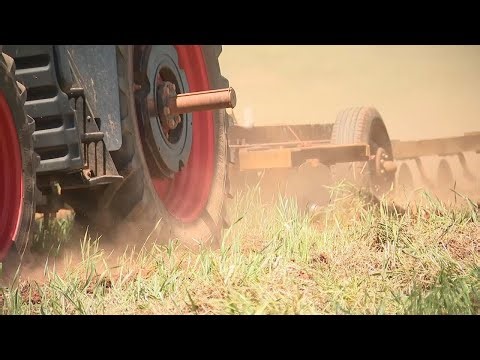 North Georgia farmers struggling through one of the state’s worst spring droughts