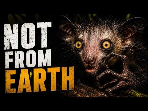 5 Animals That Look Like Aliens