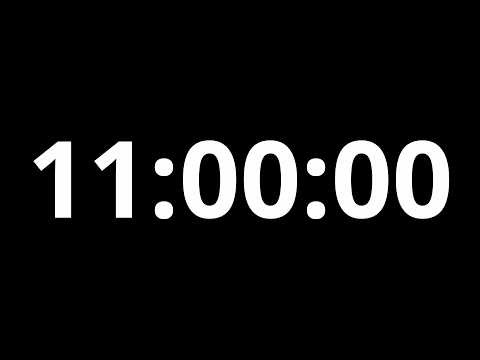 11 Hour Timer ⏱️ | 660 Minute Countdown (No Music, Black Screen)