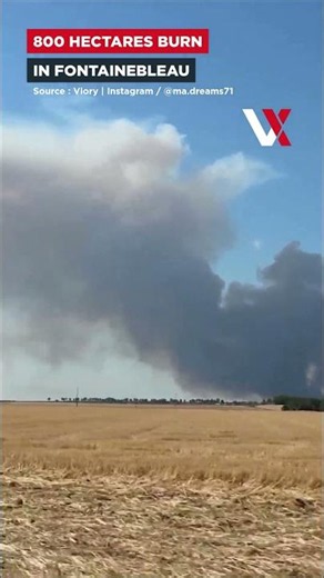 Wildfire Erupts Near Paris | Thick Smoke Covers Fontainebleau As Fire Spreads Rapidly | VERTEX