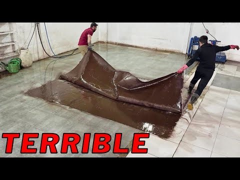 Extreme Clean: Dirty Carpet Gets Brand New Again!