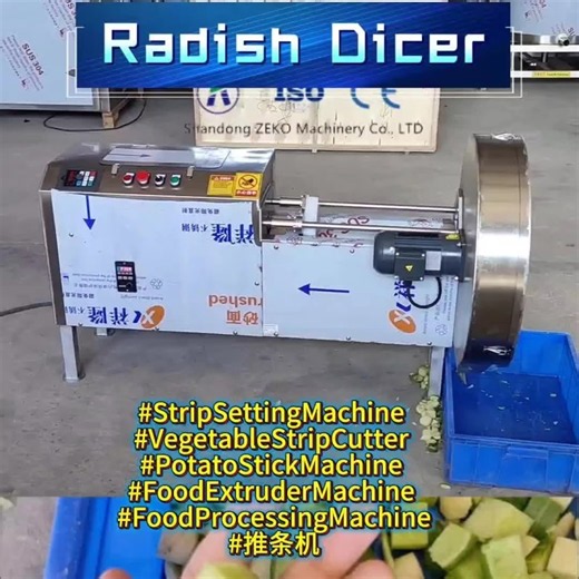 #food processing machine #zeko machinery #radish carrot dicing machine