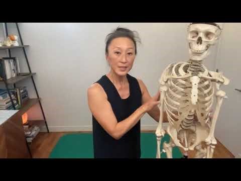 A global strategy to correct excessive anterior tilt in the pelvis