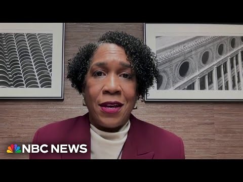 ‘We need real fighters’: Illinois Lt. Gov. Stratton on her Senate campaign