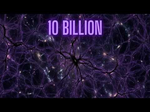 Millennium Simulation: The Cosmic Web Revealed