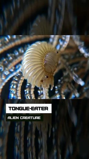 Tongue-eater. Alien creature