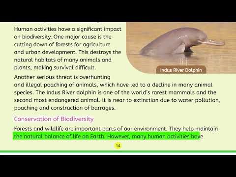 Science 5 Class STEM Series Topic 4 | Biodiversity