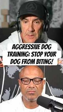Aggressive Dog Training: Stop Your Dog From Biting! Guest @robertcabral