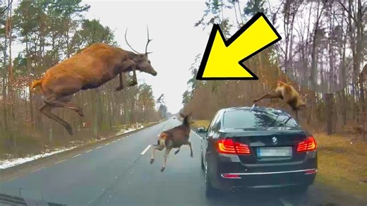 Unexplainable Video Captures That Creeped People Out! | Aliens UFO Caught on Camera