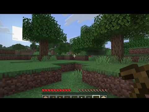 Me playing Minecraft java for the 1st time