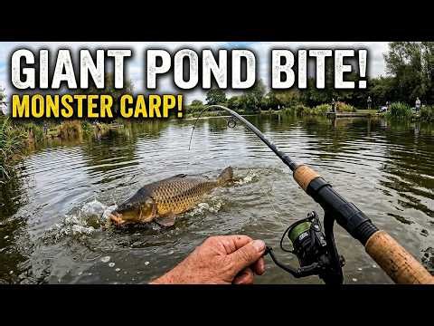 LIVE Bass Fishing – Something Big Is Biting Right Now! 🎣 #LIVEfishing #bassfishing