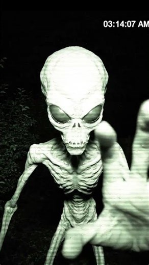 Caught On Security Camera: Mysterious Alien Figure in Backyard ​#Alien #CCTVFootage #CaughtOnCamera