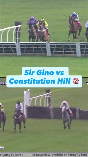 Champion Chase vs Champion Hurdle: Sir Gino vs Constitution Hill