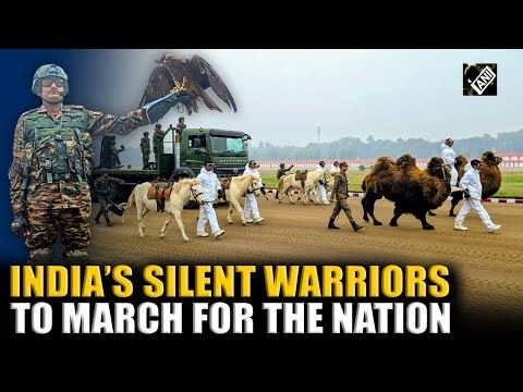 ‘Silent Warriors on Kartavya Path’: Indian Army’s Animal Contingent to March on Republic Day 2026