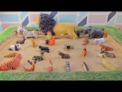 Let's Explore Together: The Wild World of Amazon Jungle and Zoo Animals
