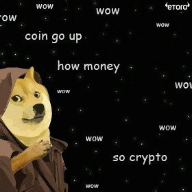 I’m not scared to be the first person pushing the memecoins on Dogecoin narrativeAlmost all successful memecoins are derivatives or spin offs of DogecoinPeople want to buy memecoins with the parent memecoin It’s simply perfect and retarded