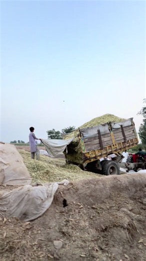 Dairy Farming Vlog: Hamid Dairy Daily Routine | Dairy Lovers