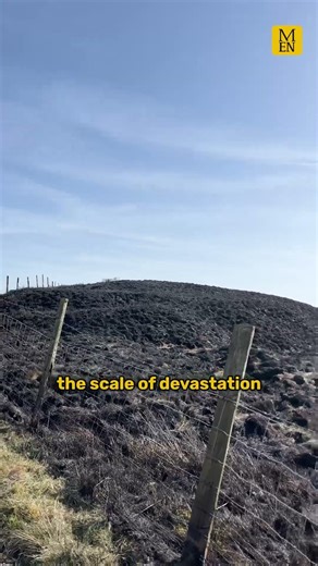 Thousands of acres of moorland destroyed by wildfires