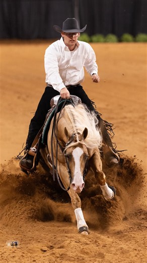 Deary Performance Horses on Reels