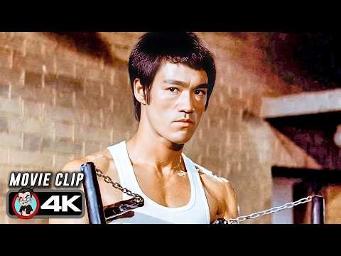 Bruce Lee vs Street Thugs | Back Alley Beatdown | THE WAY OF THE DRAGON (4K)