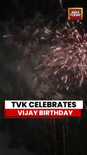 Vijay Birthday: TVK Holds Grand Celebration For Tamil Nadu CM C Joseph Vijay #tvk #tamilnadu