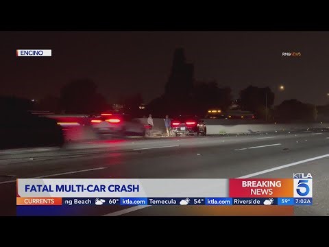 VIDEO: Person standing on L.A. freeway killed in wild overnight crash