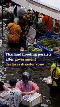 Thailand flooding persists after government declares disaster zone