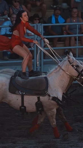 Roman riding on a pair of blondes #rodeo @nicolavalleyprorodeo — 🤠 COWBOYS & CONTRACTORS: Tag yourselves or DM for credit — pinned comment goes to you. 💬 Conversation encouraged! 🚫 Leave a dick comment? Blocked faster than an open gate. Thx. 🐎 No animals harmed. All riders and livestock are professionals. 📌 Do not repost without explicit credit. 🎥 Captured, not generated. Shot on location, not in a server farm. #rodeo #rodeovideography | Hanging Horses
