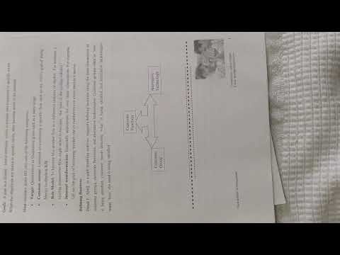 Handwritten notes strategic management MBA notes.. 