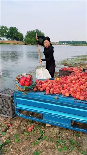 Even though the peaches are good She is throwing them into the water #fruit #peach