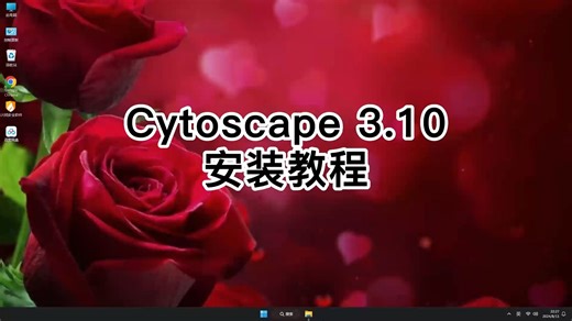 小白必看！3分钟完成Cytoscape 3.10安装，轻松搞定Cytoscape 3.10视频教程