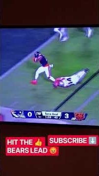 BEARS DEFEAT PATRIOTS #highlights #nfl #bears