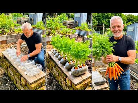 15 Easy Gardening Tricks Anyone Can Try DIY Garden Ideas