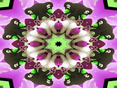 Doctor Bunny’s EPIC Color Explosion 🐰🌈| Kids cartoon #ColorExplosion #DoctorBunny #satisfying