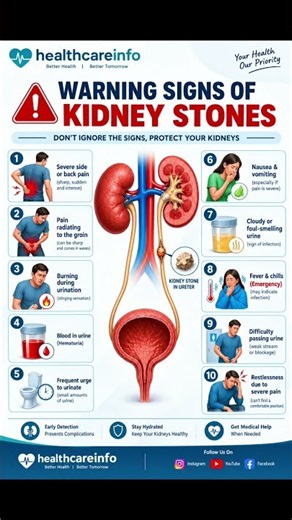 WARNING SIGNS OF KIDNEY STONES! 🩺🫘Kidney stones can cause severe pain and urinary problems.